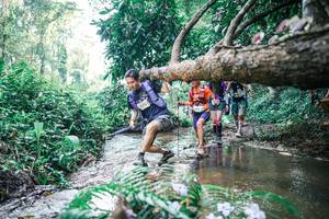 BIB: 
                            <button type="button" onclick="openModal(25451895)" class="btn btn-primary btn-sm float-right btn-popup" data-toggle="modal" data-target=".modal-high-quality">
                        <i class="fas fa-shopping-cart"></i> Add to Cart
                    </button>
                                            <button type="button" onclick="isThisMe(25451895, true)" class="btn btn-success btn-sm float-right btn-popup btn-isme hidden" data-toggle="tooltip" data-placement="bottom" title="นี่คือรูปของคุณใช่ไหม คลิกที่นี่เพื่อเอาเข้าอัลบั้ม">
                        <i class="fas fa-plus"></i> Add to album
                    </button>
                    <button type="button" onclick="isThisMe(25451895, false)" class="btn btn-warning btn-sm float-right btn-popup btn-isnotme hidden">
                        <i class="fas fa-ban"></i> Remove from album
                    </button>